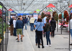 It was, despite of the rain, really busy.